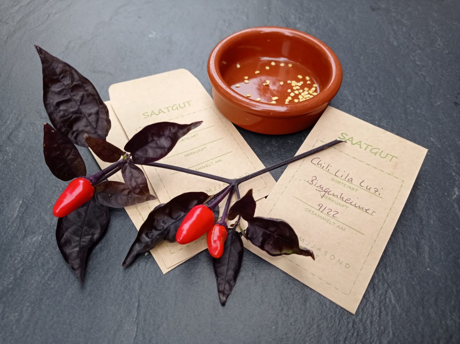 Gartenecke Samen Chili